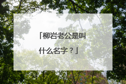 柳岩老公是叫什么名字？