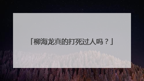 柳海龙真的打死过人吗？