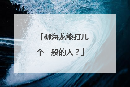 柳海龙能打几个一般的人？