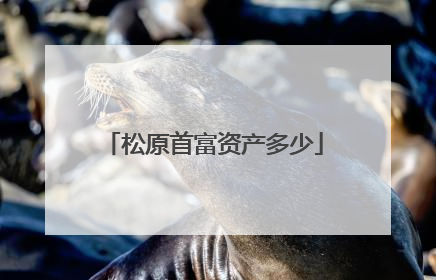 松原首富资产多少