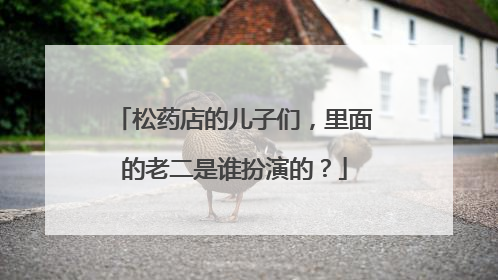 松药店的儿子们，里面的老二是谁扮演的？
