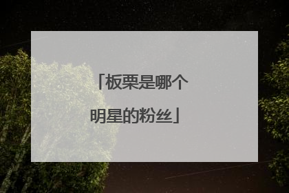 板栗是哪个明星的粉丝