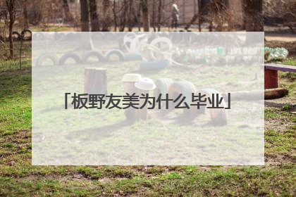 板野友美为什么毕业