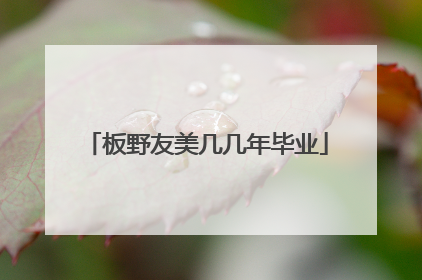 板野友美几几年毕业