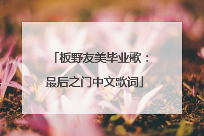 板野友美毕业歌：最后之门中文歌词