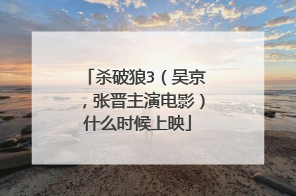 杀破狼3(吴京,张晋主演电影)什么时候上映