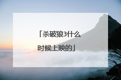 杀破狼3什么时候上映的