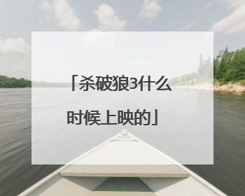 杀破狼3什么时候上映的