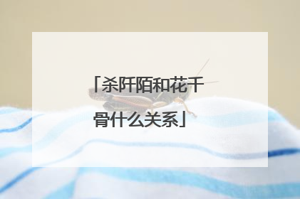 杀阡陌和花千骨什么关系