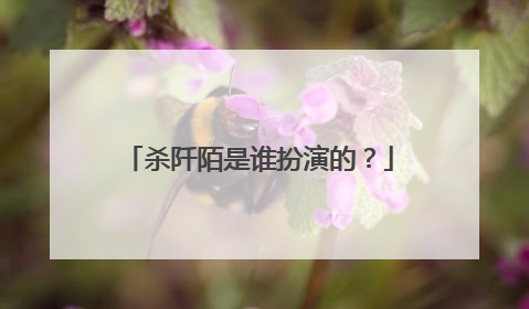 杀阡陌是谁扮演的？