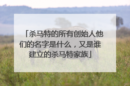 杀马特的所有创始人他们的名字是什么，又是谁建立的杀马特家族
