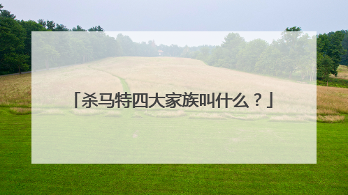 杀马特四大家族叫什么？