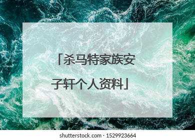 杀马特家族安子轩个人资料