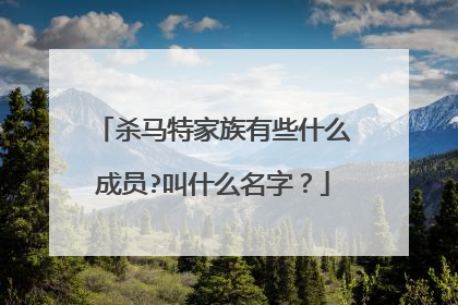 杀马特家族有些什么成员?叫什么名字？