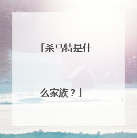 杀马特是什么家族？