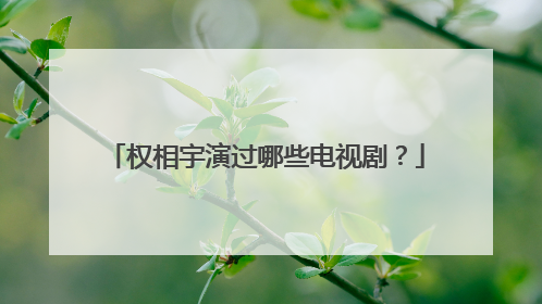 权相宇演过哪些电视剧?