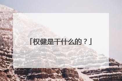 权健是干什么的?