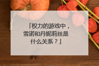 权力的游戏中，雪诺和丹妮莉丝是什么关系？