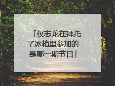 权志龙在拜托了冰箱里参加的是哪一期节目