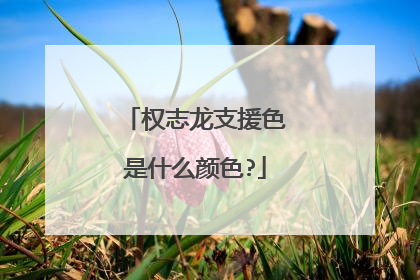 权志龙支援色是什么颜色?