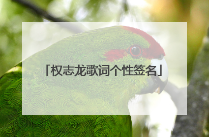 权志龙歌词个性签名