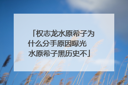 权志龙水原希子为什么分手原因曝光 水原希子黑历史不