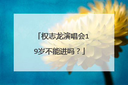 权志龙演唱会19岁不能进吗？