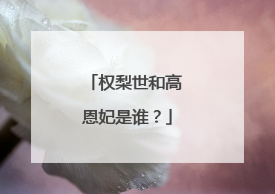 权梨世和高恩妃是谁？