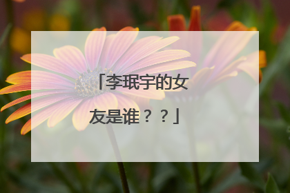 李珉宇的女友是谁??