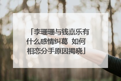 李珊珊与钱嘉乐有什么感情纠葛 如何相恋分手原因揭晓