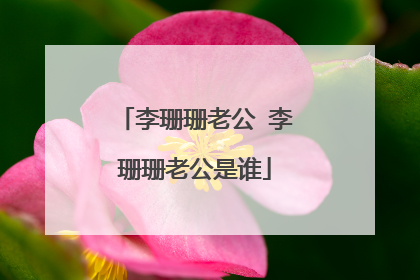 李珊珊老公 李珊珊老公是谁