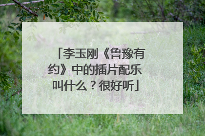 李玉刚《鲁豫有约》中的插片配乐叫什么？很好听