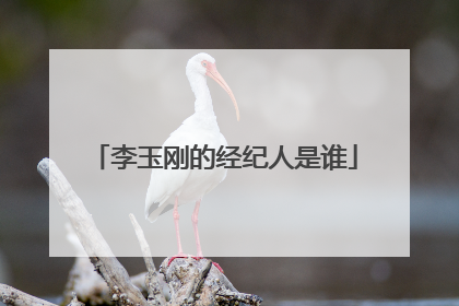 李玉刚的经纪人是谁