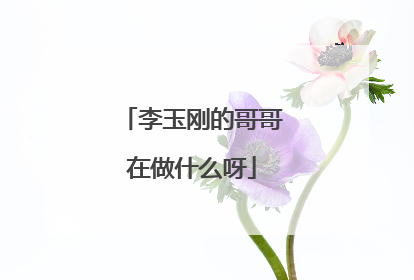 李玉刚的哥哥在做什么呀