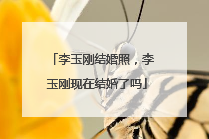 李玉刚结婚照,李玉刚现在结婚了吗