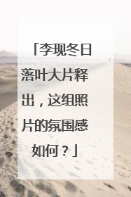 李现冬日落叶大片释出,这组照片的氛围感如何?