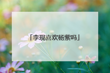 李现喜欢杨紫吗