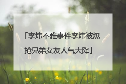 李炜不雅事件李炜被爆抢兄弟女友人气大降