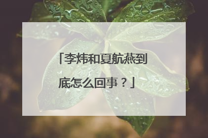 李炜和夏航燕到底怎么回事?