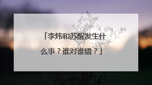 李炜和苏醒发生什么事？谁对谁错？