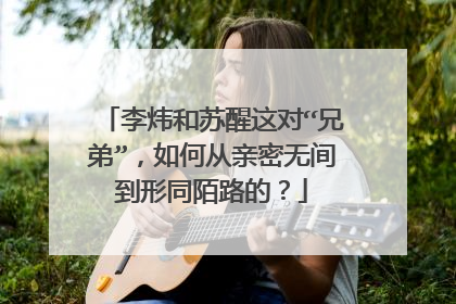 李炜和苏醒这对“兄弟”,如何从亲密无间到形同陌路的?