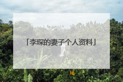 李琛的妻子个人资料