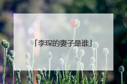 李琛的妻子是谁