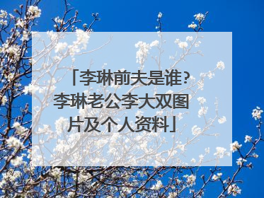 李琳前夫是谁?李琳老公李大双图片及个人资料