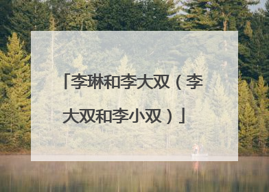 李琳和李大双（李大双和李小双）