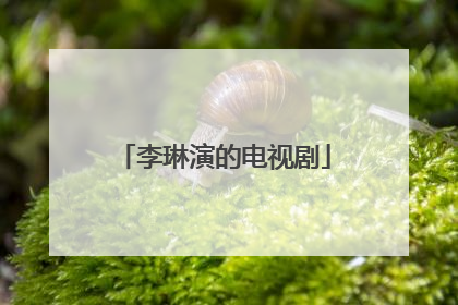 李琳演的电视剧