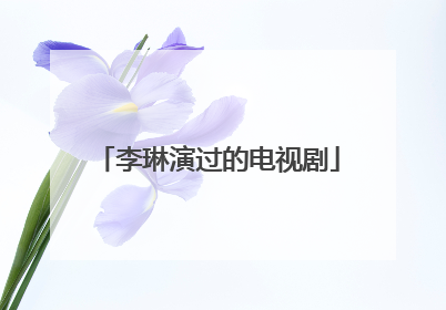 李琳演过的电视剧