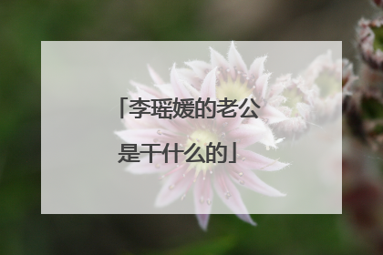 李瑶媛的老公是干什么的