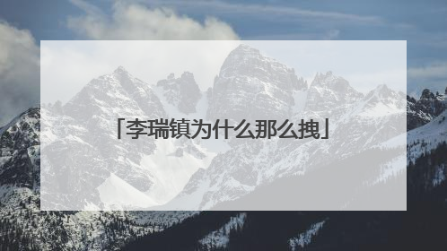 李瑞镇为什么那么拽