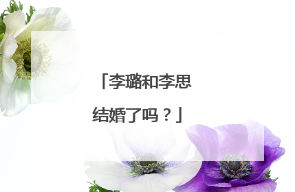 李璐和李思结婚了吗？